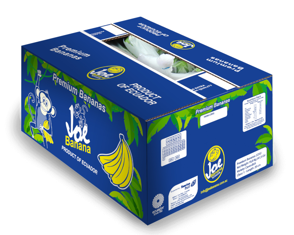 mockup caja joe